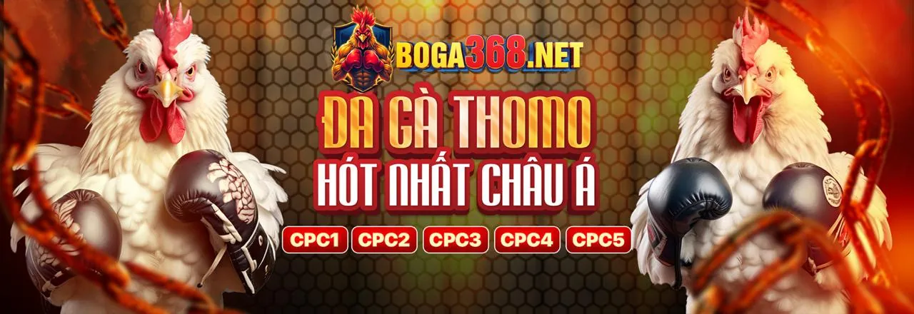 Giao diện đăng nhập hiện đại và an toàn của trực tiếp gà thomo