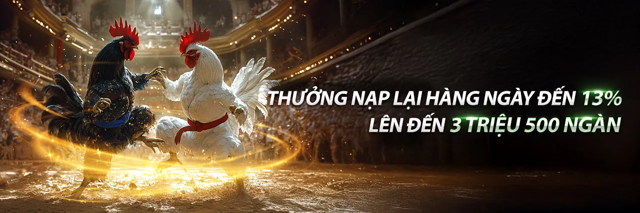Tin tức trực tiếp gà Thomo