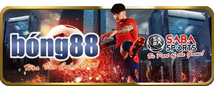 Giải thích đá gà trực tiếp Thomo và nguồn gốc của nó